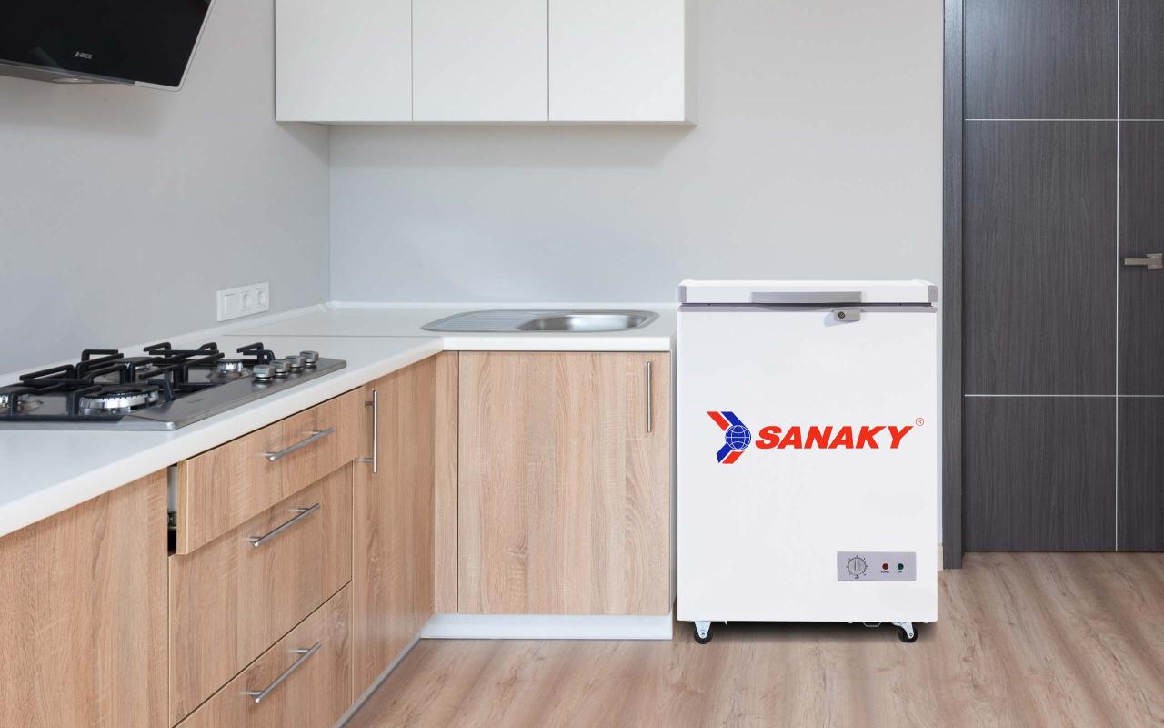 Tủ Đông Sanaky VH-150HY2 100 lít - bapize.baby - bapize