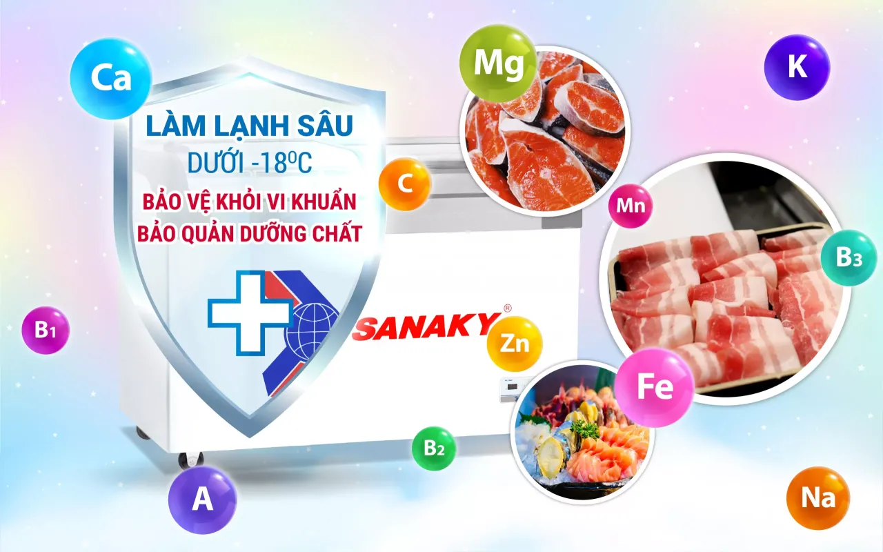Tủ Đông Sanaky VH-382KB 280 lít - bapize.baby - bapize