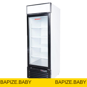 Tủ Đông Đứng – bapize.baby - bapize