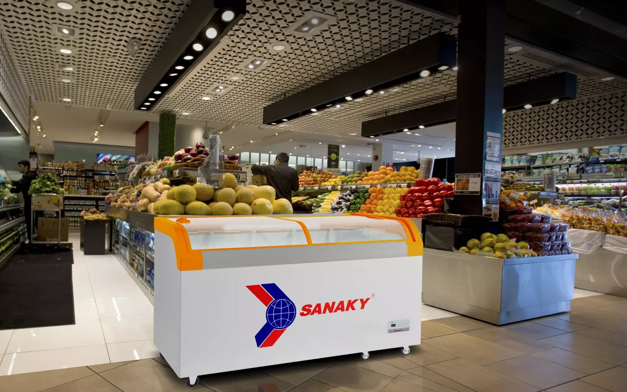 Tủ Đông Sanaky VH-899KA 500 lít - bapize.baby - bapize