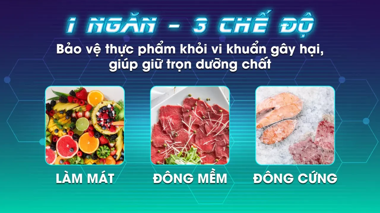 Tủ Đông Sanaky VH-6699HYK 530 lít - bapize.baby - bapize