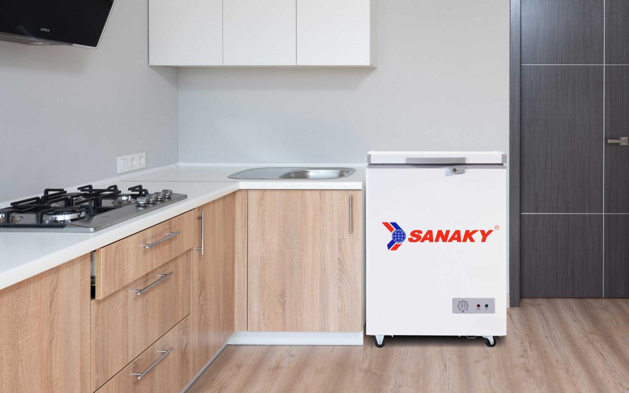 Tủ Đông Sanaky VH-1599HY 100 lít - bapize.baby - bapize