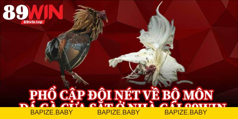 Đá Gà Cựa Sắt 89WIN - Điểm Đến Của Những Người Đam Mê Đá Gà - bapize