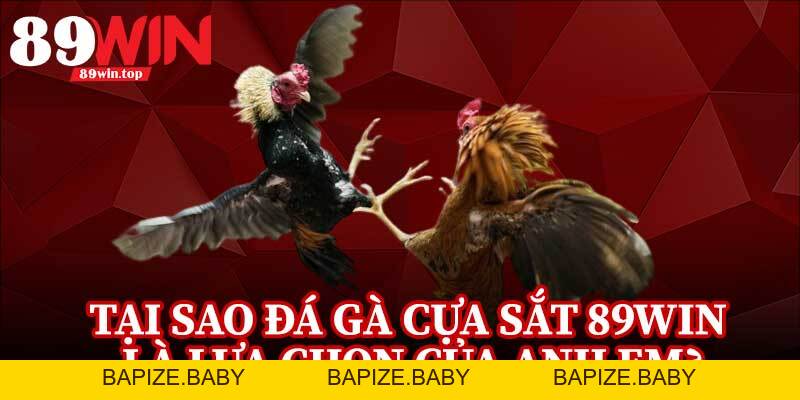 Đá Gà Cựa Sắt 89WIN - Điểm Đến Của Những Người Đam Mê Đá Gà - bapize