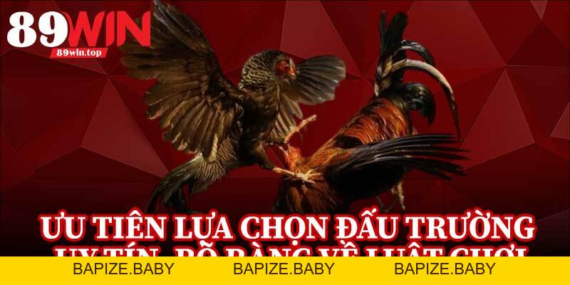 Đá Gà Cựa Sắt 89WIN - Điểm Đến Của Những Người Đam Mê Đá Gà - bapize