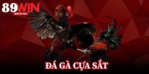 89WIN - Link Nhà Cái Uy Tín 89WIN.COM Mới Nhất 2026 - bapize