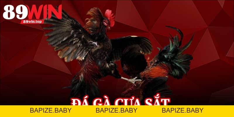 Đá Gà Cựa Sắt 89WIN - Điểm Đến Của Những Người Đam Mê Đá Gà - bapize